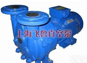 <em>2BV型水环式真空泵</em>（上海真空泵厂家）
