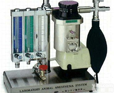 动物<em>吸入</em>式<em>气体</em><em>麻醉机</em>
