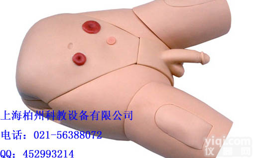 男性<em>导尿</em><em>模型</em>价格,<em>导尿</em>护理<em>模型</em>厂家