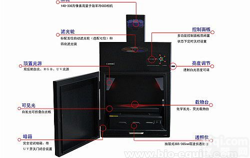 <em>全自动多色荧光/化学发光凝胶图像分析系统</em>