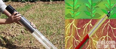 植物<em>根系</em><em>生长</em>动态<em>监测</em>系统，活体<em>根系</em>