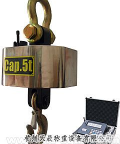 <em>无线电远程型电子吊秤</em>