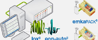 <em>啮齿动物</em>心电的无创检测系统