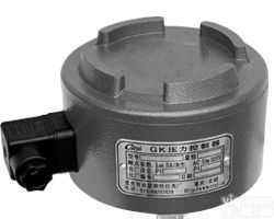 EA系列   <em>工业用</em>压力开关/<em>差压</em>开关(可选防爆 )