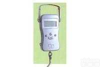 <em>电子</em><em>手提</em>秤  <em>电子</em><em>手提</em>秤