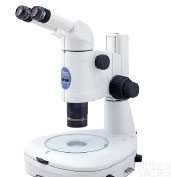 SMZ1500  <em>辽宁</em><em>沈阳市</em>研究体视<em>显微镜</em>