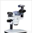 SZ66TR  <em>辽宁</em>省<em>沈阳市</em>四目平行光体视<em>显微镜</em>，四目同时成像实体<em>显微镜</em>，解剖<em>显微镜</em>销售热线：13513895150