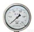 <em>YN系列耐振压力表</em>