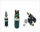 电线电缆，<em>本安型信号控制电缆</em>