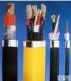 氟塑料绝缘、硅橡胶<em>护套</em><em>耐高温</em><em>电力电缆</em>