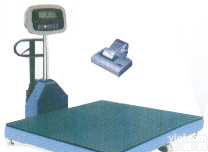 FM <em>系列</em>  <em>地磅</em>，电子<em>地磅</em>，<em>地磅</em>，FM <em>系列</em>移动地上衡