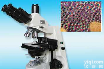 LW300-46LD（数显）  <em>科研型</em>生物<em>显微镜</em>