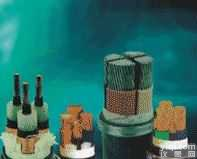 ZR192-FF46-<em>22</em>/ZR-F46-<em>22</em>（FV<em>22</em>）/YGC-F46-<em>22</em>（FG<em>22</em>）  氟塑料耐高温<em>电力电缆</em>