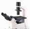 BDS200倒置顯微鏡  天津倒置生物顯微鏡，天津BDS200倒置生物顯微鏡，倒置顯微鏡，