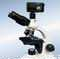 B203TR生物<em>显微镜</em>  天津<em>数码</em>照相生物<em>显微镜</em>，天津B203TR<em>数码</em>摄像生物<em>显微镜</em>，<em>数码</em><em>显微镜</em>，