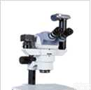 <em>吉林</em>奥林巴斯显微镜CX21，<em>吉林</em>奥林巴斯显微镜CX31，<em>吉林</em>奥林巴斯CX41显微镜，  <em>吉林</em>奥林巴斯BX41显微镜，<em>吉林</em>蔡司显微镜：13611261966（王亮）