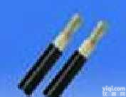 <em>70℃电机绕组引接软电缆（电线）</em>