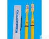 GDY-II型  GDY 500kv<em>高压</em><em>声光</em><em>验电器</em>，GDY-10KV<em>声光</em><em>验电器</em>，10kv<em>高压</em><em>验电器</em>，35kv<em>高压</em><em>验电器</em>