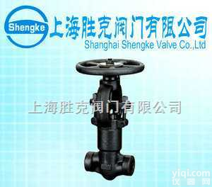 SKV  锻钢<em>自密封截止阀</em>,胜克阀门,进口截止阀