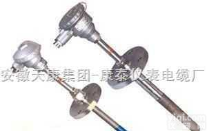 <em>WRNM</em>  <em>耐磨</em><em>热电偶</em><em>WRNM</em>