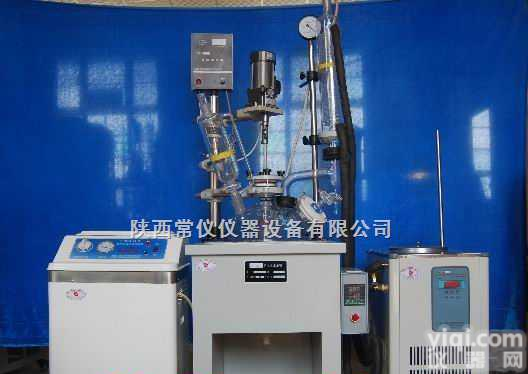 T-5L  多功能<em>反应器</em> <em>山东</em>-常仪仪器