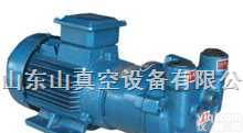 2bv-2060  <em>水环式</em>佛山<em>真空泵</em>