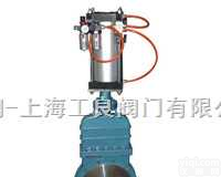 <em>DMZ673  气动暗杆式刀形闸阀</em>