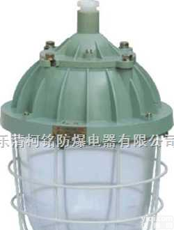 浙江|湖南|北京|贵州|广州BCD-<em>400</em><em>隔爆型</em><em>防爆灯</em>
