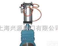 供应 DMZ673<em>气动</em>暗<em>杆式</em>刀形<em>闸阀</em> 上海兴源阀门