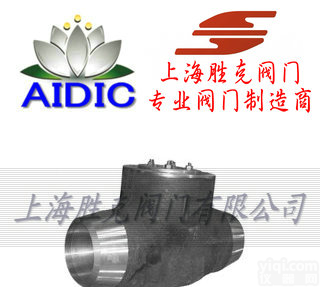 skv  进口高温<em>高压</em><em>止回阀</em> 德国AIDIC进口<em>高压</em><em>止回阀</em>