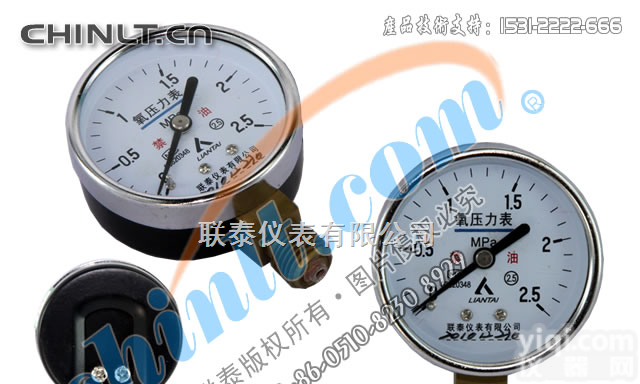 YO60（低压）  YO60（低压）<em> 氧压力表</em>