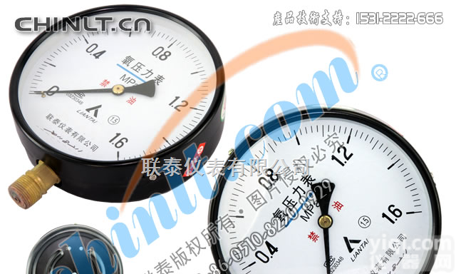 YO150（低压）  YO150（低压）<em> 氧压力表</em>