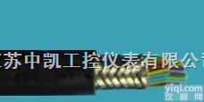 <em>耐高温</em><em>控制电缆</em>  <em>耐高温</em><em>控制电缆</em>