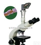BMY-12  <em>合肥</em>生物显微镜BMY-12生物显微镜