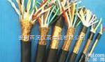KJYVP  <em>仪表用控制电缆、数字巡回检测装置用屏蔽电缆</em>