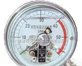 <em>YN</em>-60 <em>YN</em>-100 <em>YN</em>-150 <em>YN</em>-200  <em>YN</em>耐振<em>压力表</em>