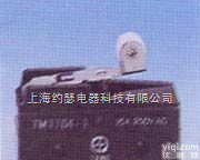 TM <em>1704</em>-1  TM <em>1704</em>-1<em>微动开关</em>