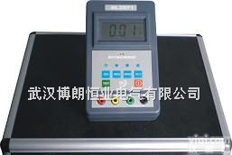 BL2531  <em>等电位</em>连接<em>电阻</em><em>测试仪</em>