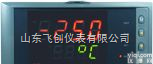 NHR-1100  新虹润仪表NHR-1100系列<em>简易型</em><em>单回路</em><em>数字显示</em><em>控制仪</em>
