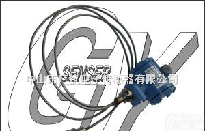 PTG603 <em> 高温液位传感器</em> 铠装投入式液位传感器