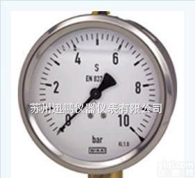 232.50.<em>100</em>WIKA  <em>压力表</em>