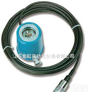 JH-181  电缆式<em>液位</em><em>变送器</em>-金虹<em>仪表</em>-<em>变送器</em>