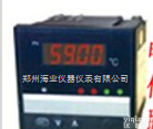 WP-D805-010-23-HL  <em>福建</em>上润， 智能自整定PID<em>调节仪</em> ，WP-D805-010-23-HL