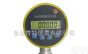 <em>KT-YBS-C  精密数字压力表</em>