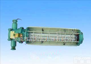 DGS24/127Y  （A） <em>ExdI</em>  <em>隔爆型</em><em>荧光灯</em>