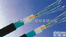 GYXTA  <em>GYXTA光缆</em>