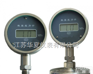 YBS  徐州数显<em>压力表</em>型号、<em>南京</em>数显<em>压力表</em>厂家