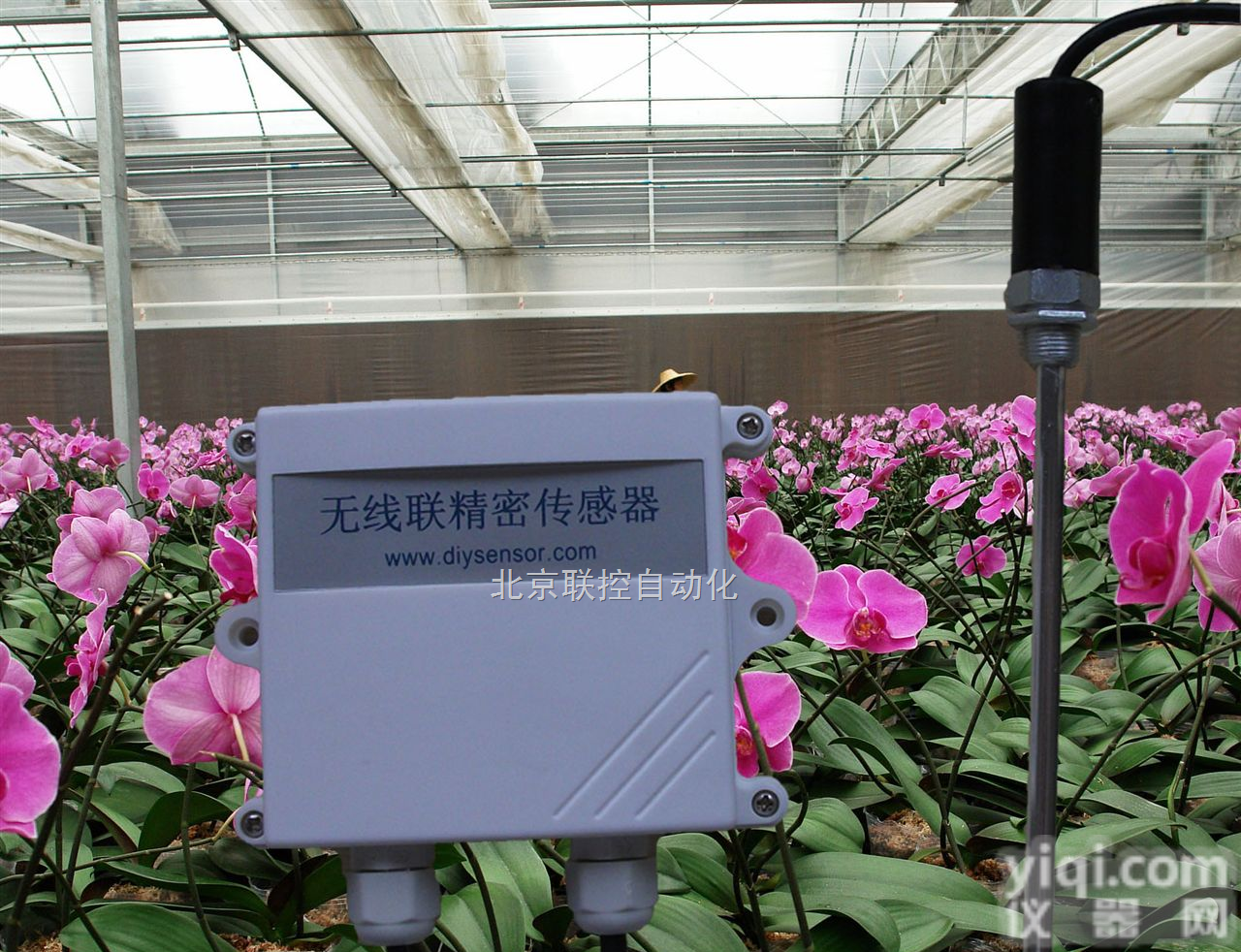 无线远传土壤温度变送器，TW-A1土壤温度传感器