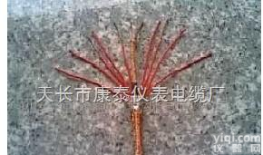 <em>聚氯乙烯绝缘屏蔽电线</em>  <em>聚氯乙烯绝缘屏蔽电线</em>