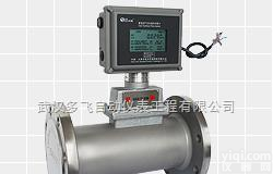 LWQ-C-100  <em>天然气</em><em>计量表</em>设计、<em>天然气</em><em>计量表</em>选型、<em>天然气</em><em>计量表</em>生产